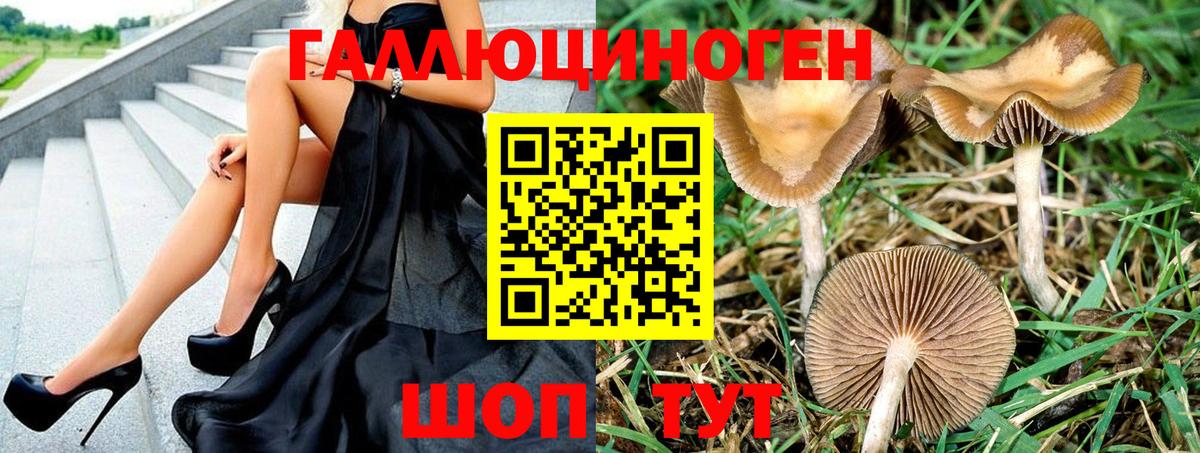 Псилоцибиновые грибы Psilocybine cubensis Прохладный