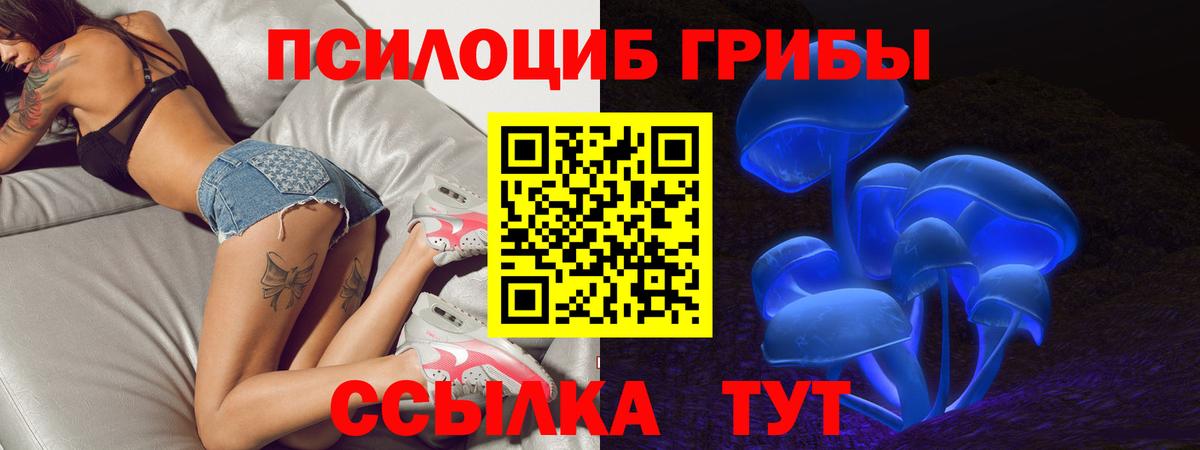 Галлюциногенные грибы ЛСД  Галлюциногенные грибы Magic Shrooms  Прохладный  Вход с VPN 